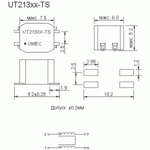 UT21303-TS