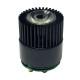 LS17-002W31, , 10W, WW